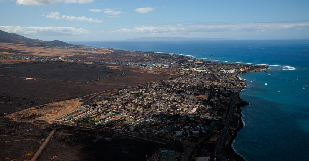 How Invasive Plants Caused the Maui Fires to Rage
