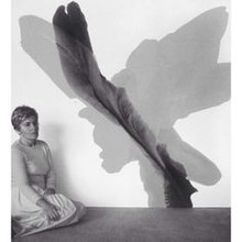 Irene Monat Stern Biography, Age, Height, Wife, Net Worth and Family