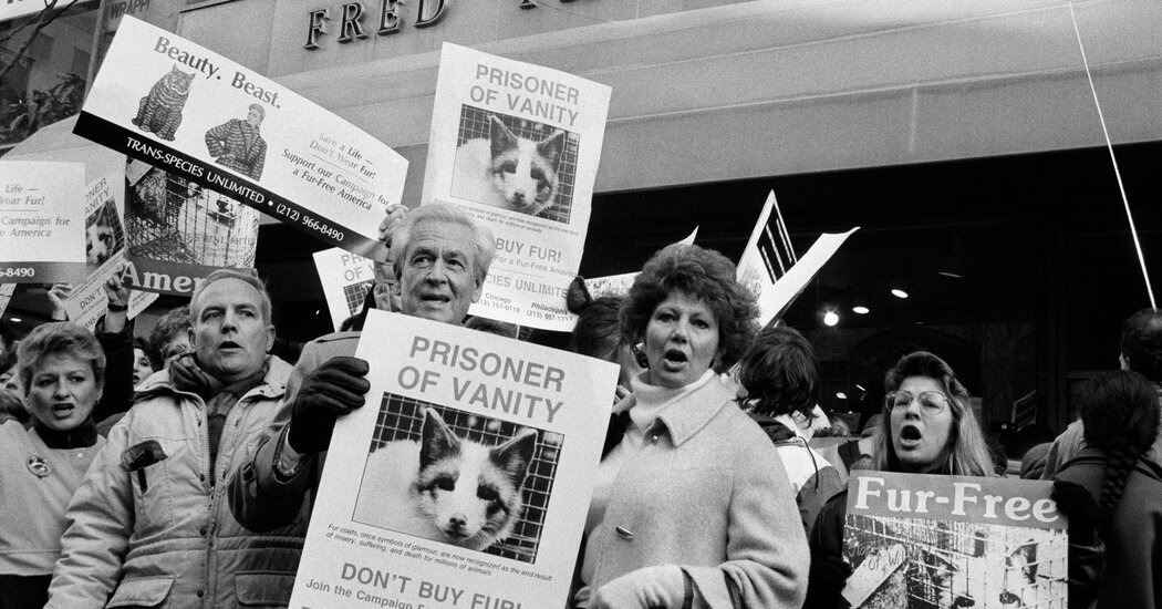 Through Philanthropy and Activism, Bob Barker Fought Animal Cruelty