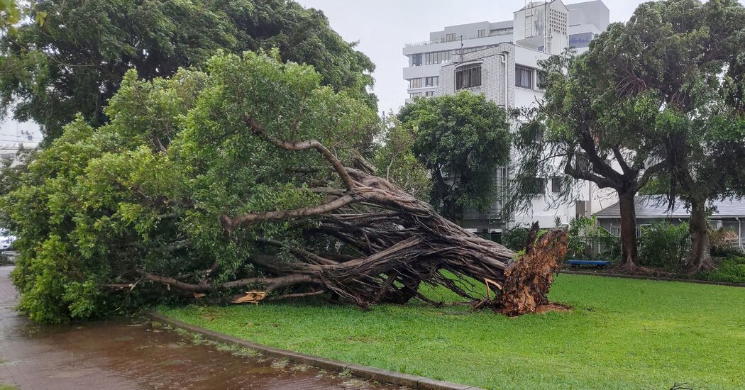 Typhoon Khanun Heads Back Toward Japan, With South Korea in Its Path