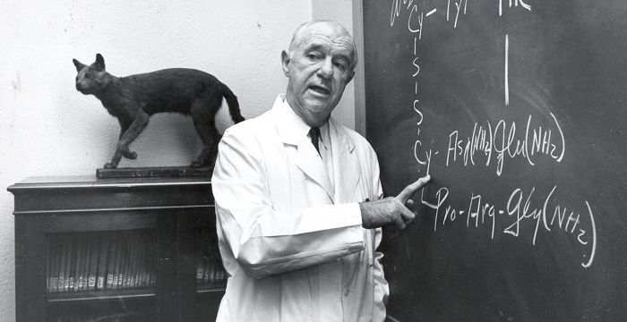 Vincent du Vigneaud Bio, Early Life, Career, Net Worth and Salary