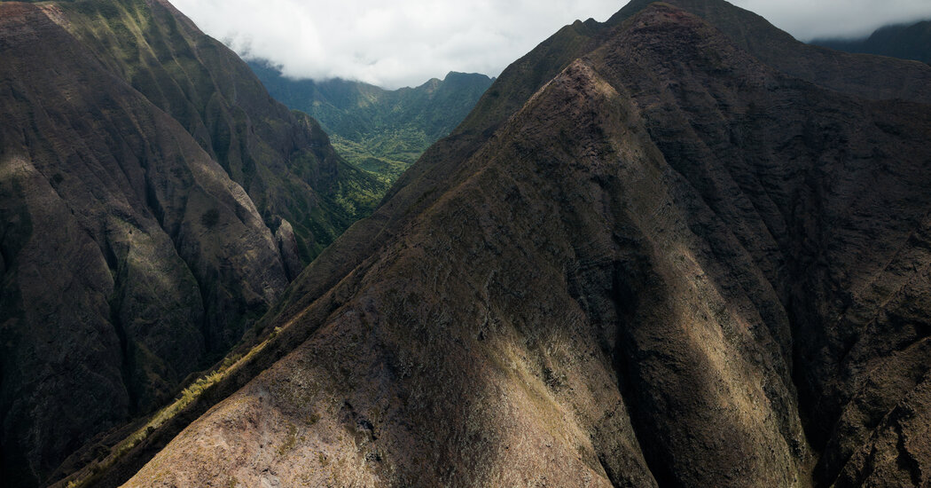 West Maui Had Been Warned It Was at High Risk for Wildfires