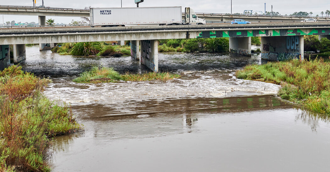 What the Rain From Hilary Means for California’s Fire Risk