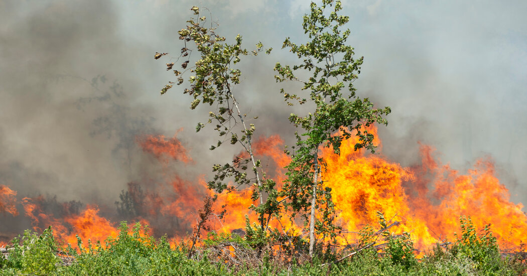 Wildfires Burn Across Louisiana, Killing 2