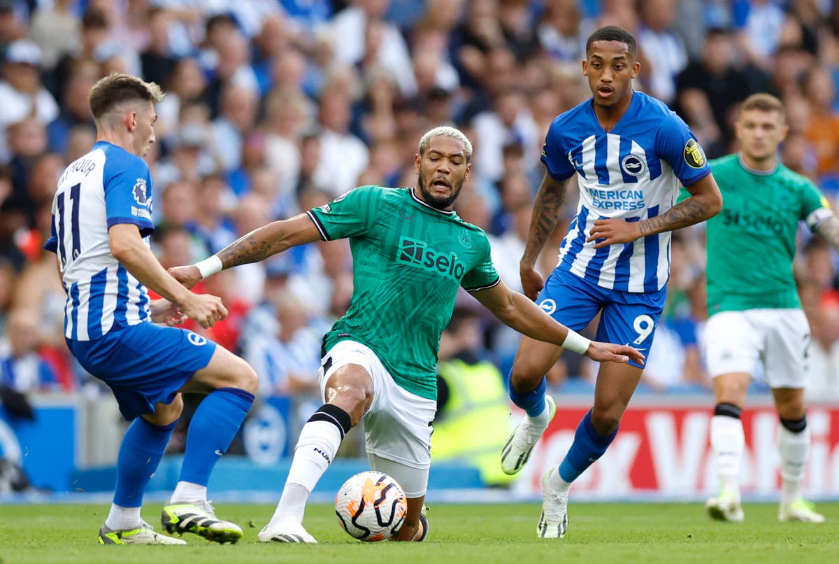 Brighton & Hove Albion vs Newcastle United LIVE: Latest Premier League updates
