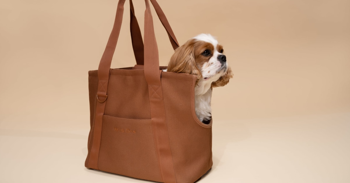 The best travel carriers for your dog may depend on your airline’s requirements.
