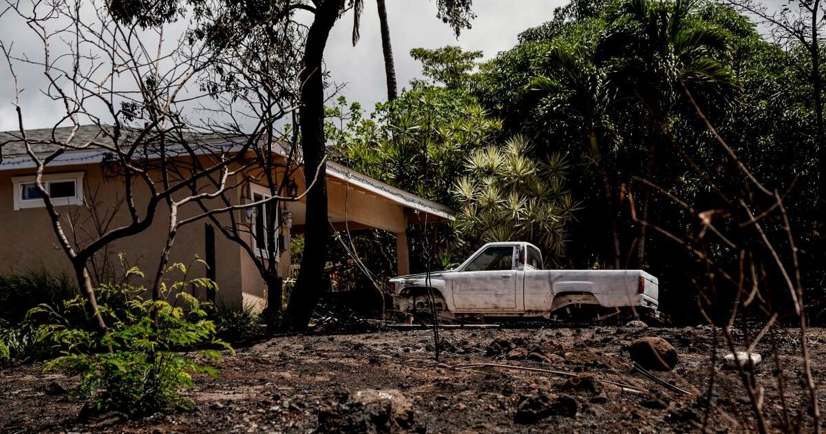 Maui residents get a close-up look at the burn scar where their homes once stood