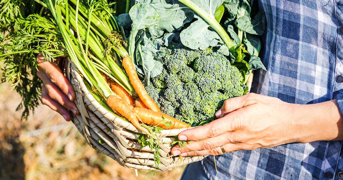 Switching the types of carbs you eat may help prevent weight gain, large study finds