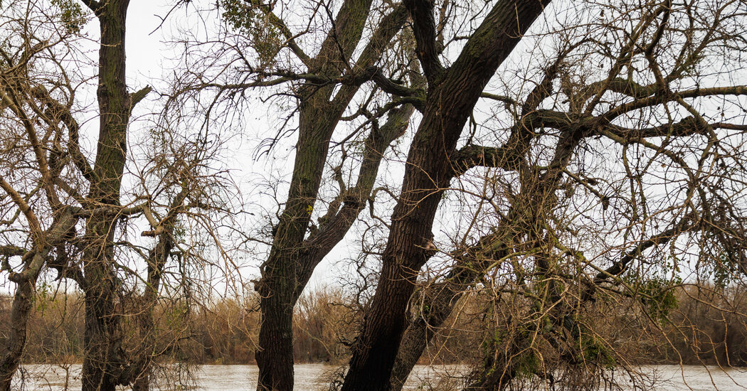 Rising Frustration Over the Homelessness Crisis in Sacramento