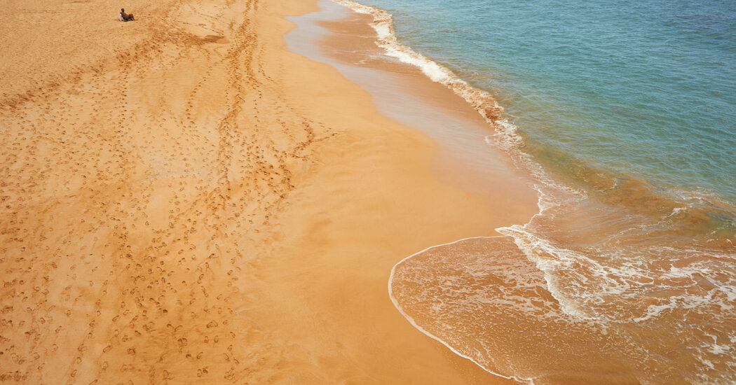 Tourists Were Told to Avoid Maui. Many Workers Want Them Back.