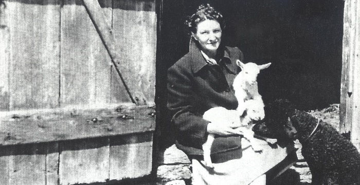 Virginia Hall Bio, Early Life, Career, Net Worth and Salary