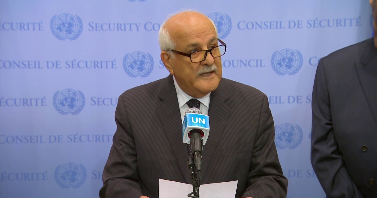 Palestinian representative to the UN: 'We are not subhumans'