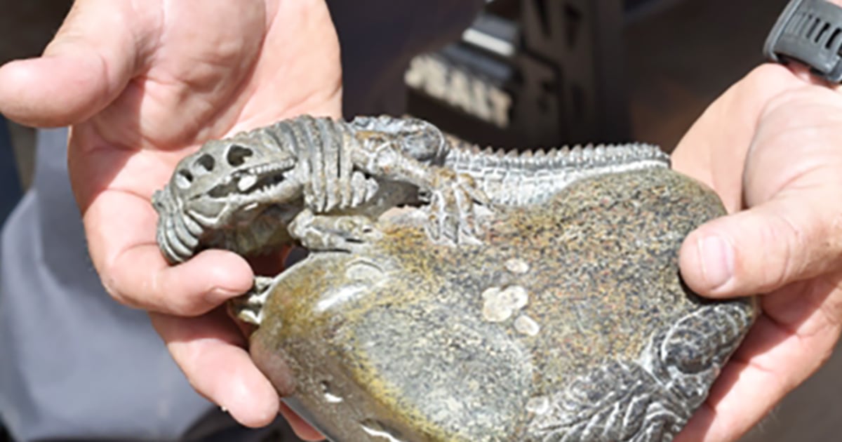 4 charged in illegal sale of dinosaur bones  that were shipped to China