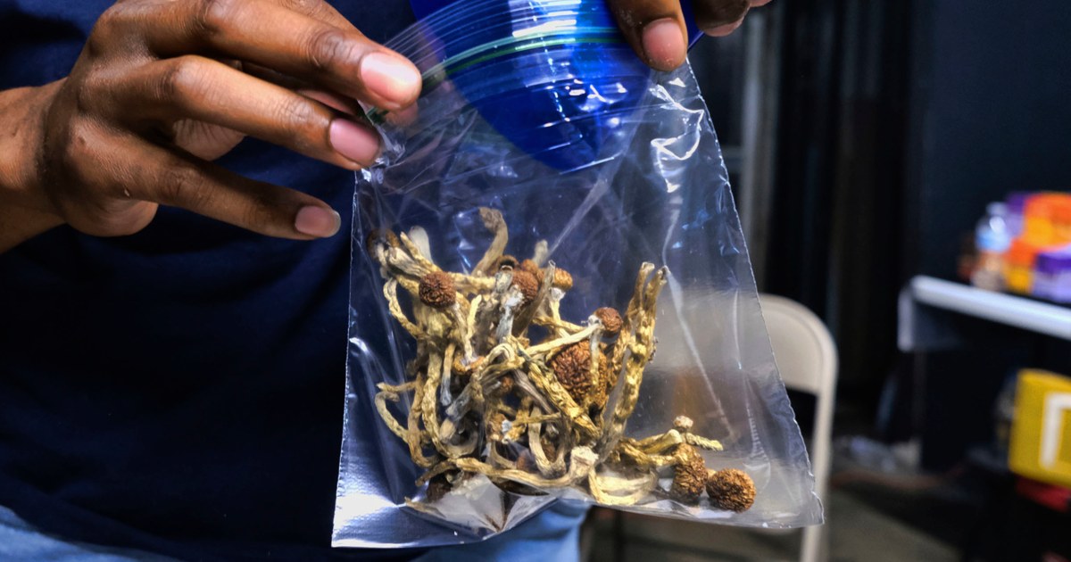 Effects of psychedelics like magic mushrooms can last for days or weeks, new research finds