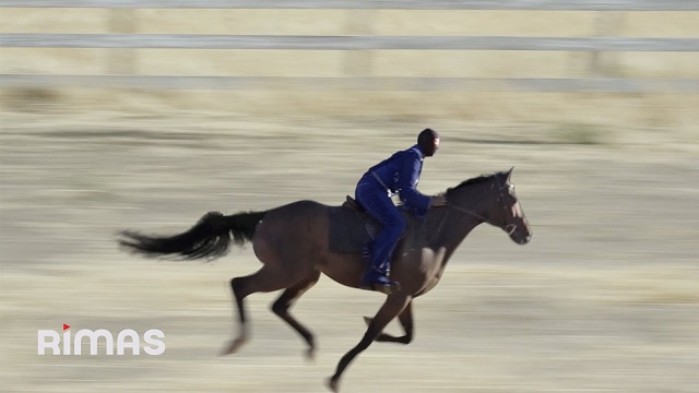 Fina (Letra) Lyrics - Bad Bunny