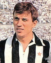 Gino Stacchini Biography, Age, Height, Wife, Net Worth and Family