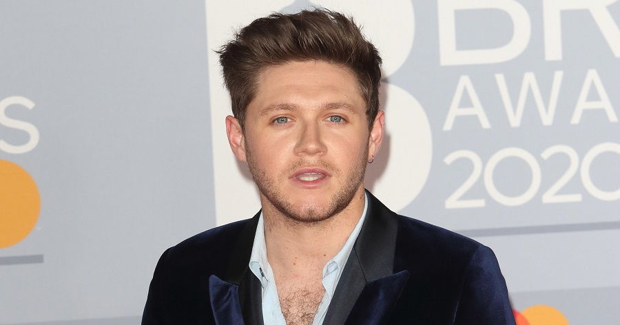 Niall Horan Bio, Early Life, Career, Net Worth and Salary