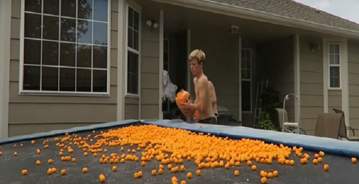 Tanner Fox Bio Bio, Early Life, Career, Net Worth and Salary