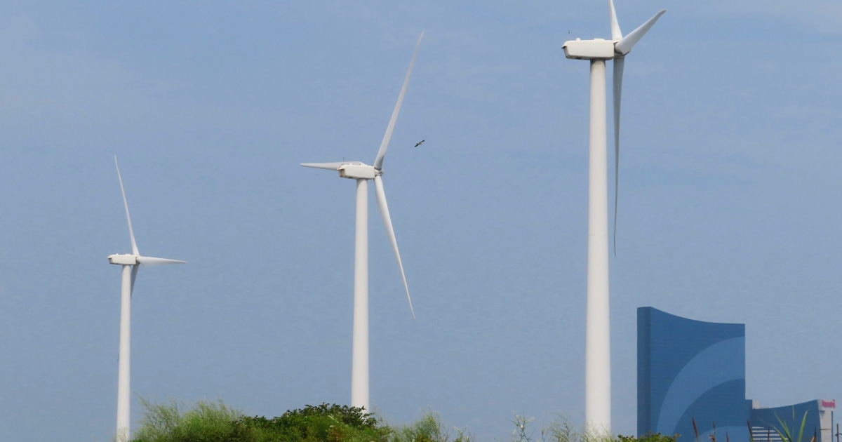 Major wind energy developer scraps two major offshore projects