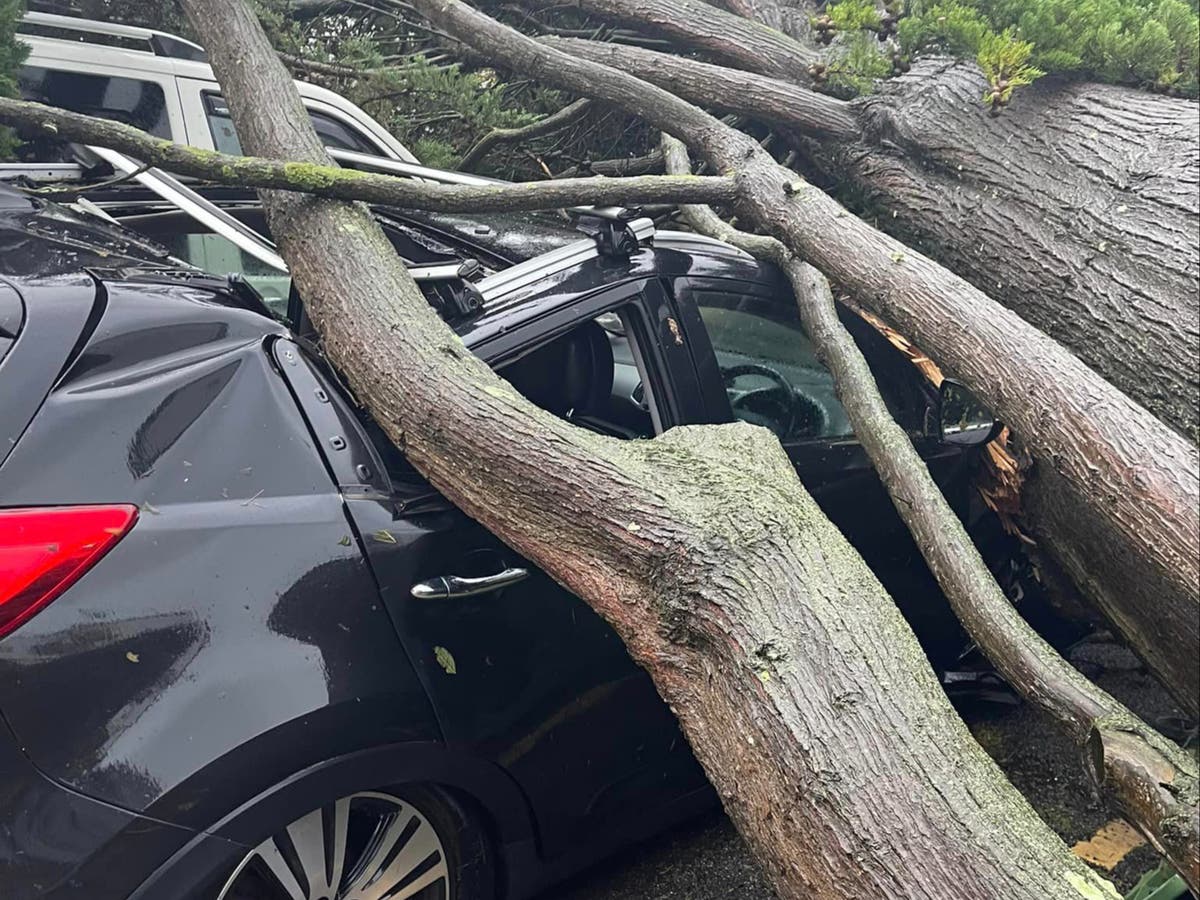Storm Ciarán batters UK with roofs torn off homes and cars crushed by fallen trees