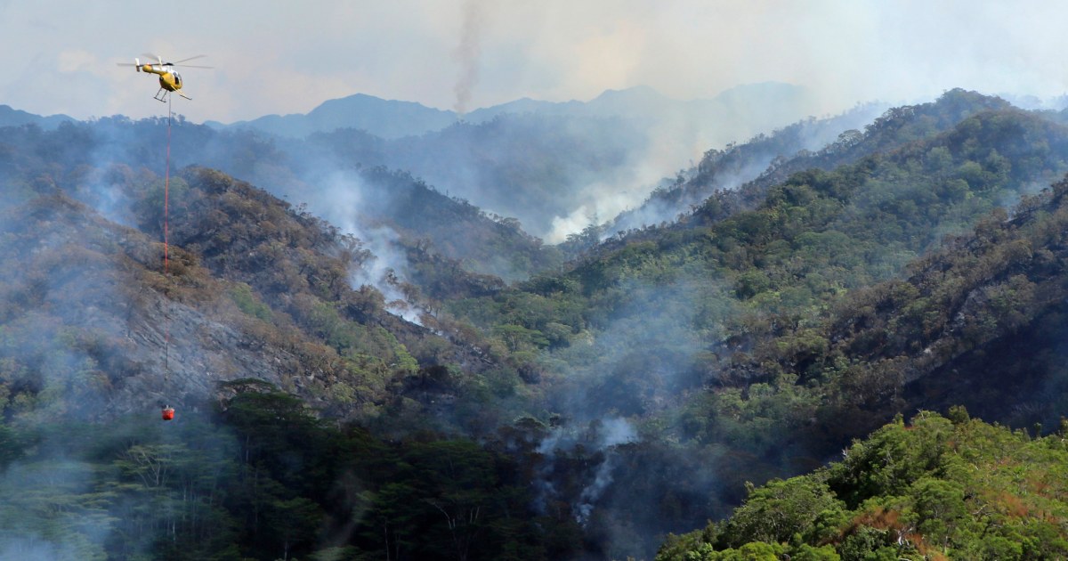 There’s another wildfire burning in Hawaii. This one is destroying irreplaceable rainforest on Oahu.