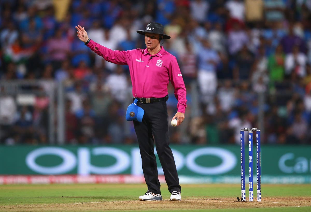 Who are the umpires for the cricket world cup final?