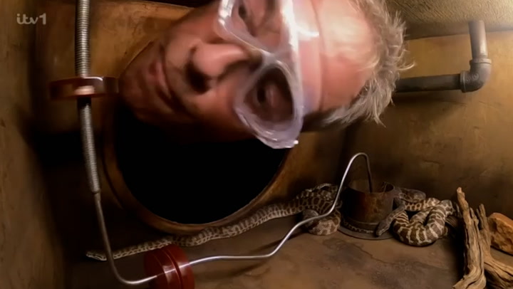 I'm A Celebrity's Nigel Farage takes part in 'horrible' snake challenge