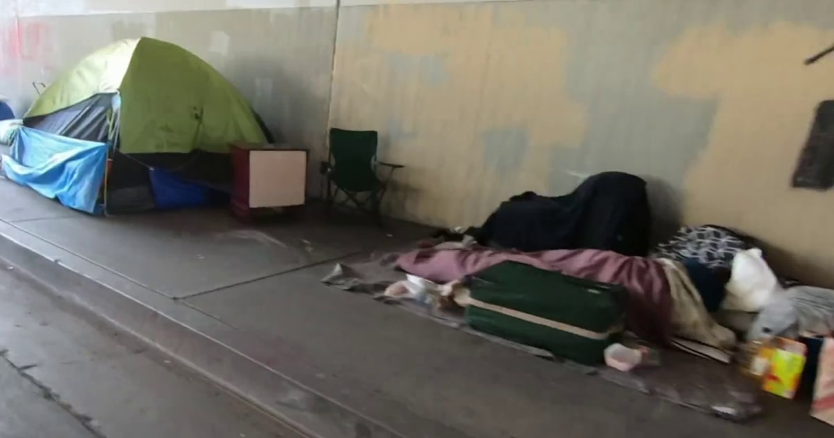 Homelessness in U.S. reaches a record high, federal report finds