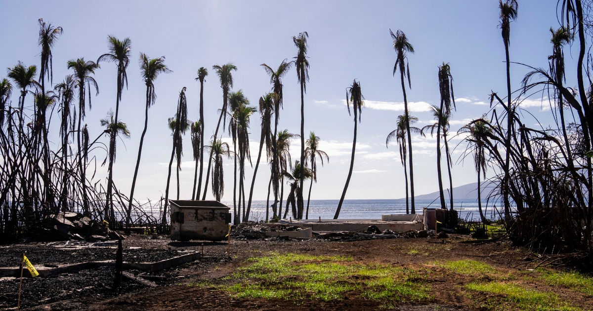 Hawaii governor’s first budget after Maui wildfire includes funds for recovery and fire prevention