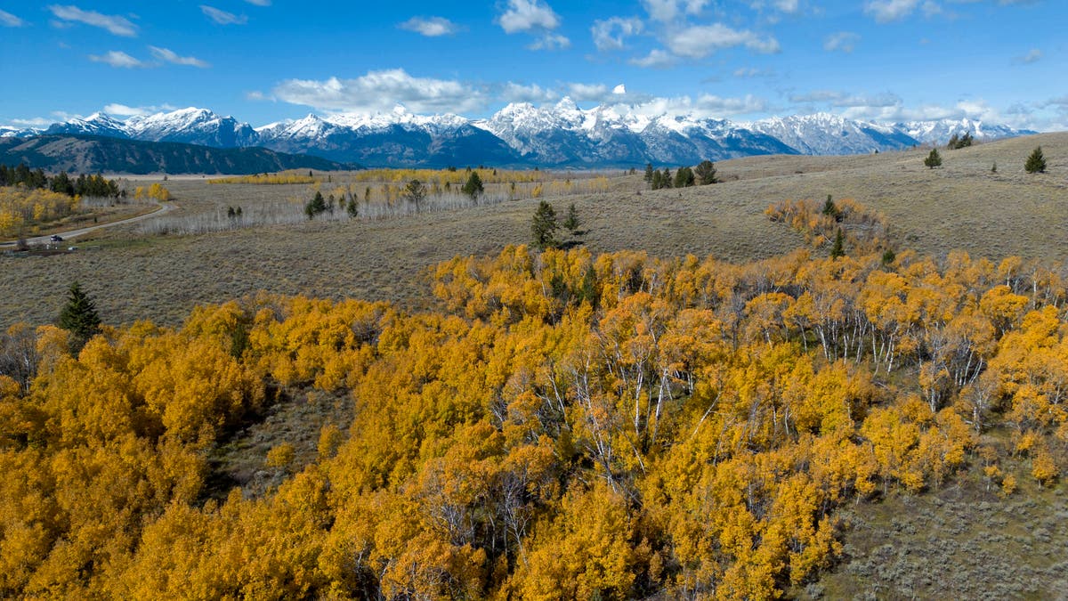 Controversial auction to sell park land in Wyoming halted