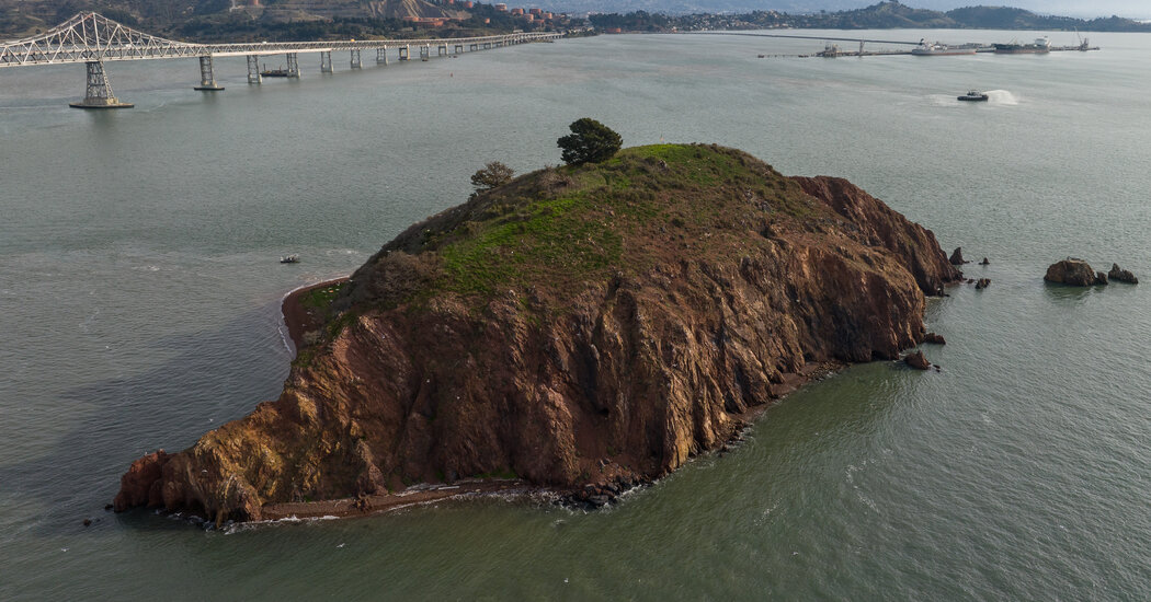 For the Billionaire Who Has Everything, Consider an Island in the San Francisco Bay