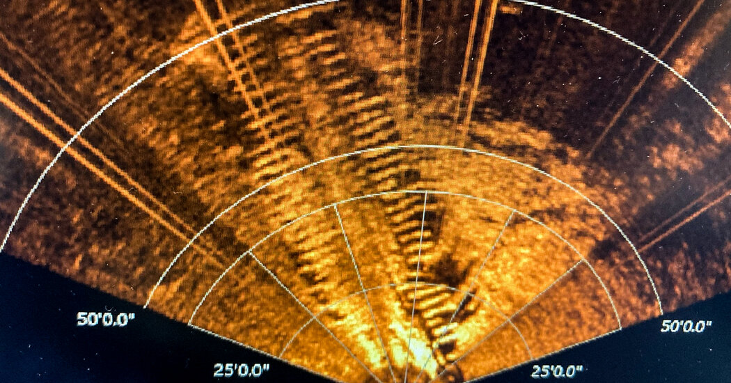 Is It An Octopus? a 4-Year-Old Asks. No, a Shipwreck From 1871.