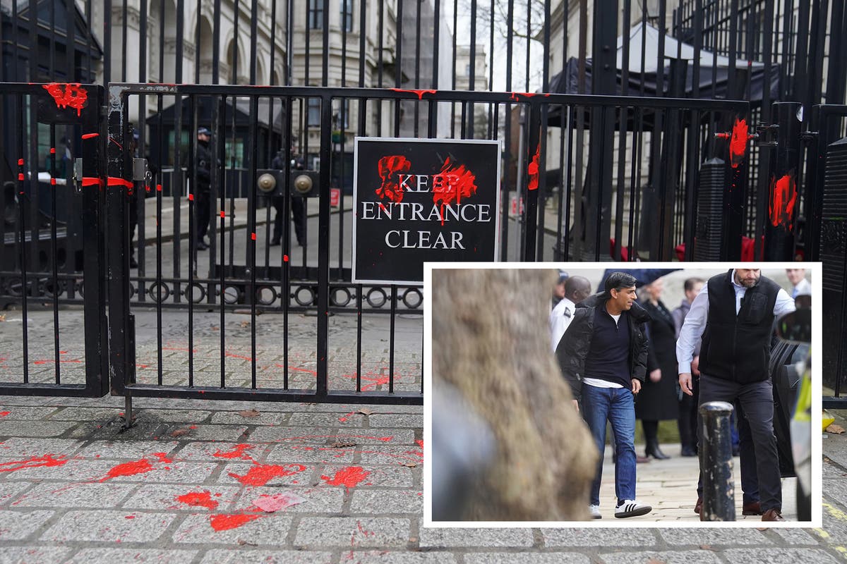 Two arrested as red paint thrown at Downing Street gates