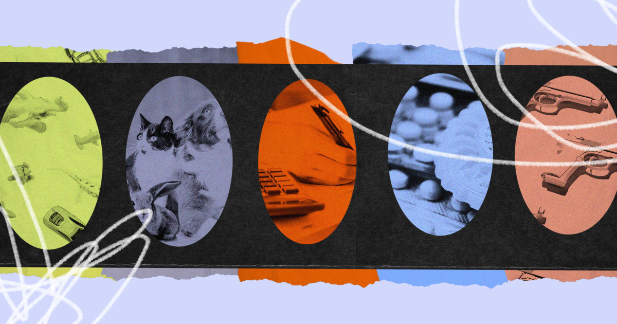 New laws for 2024: Gender-neutral toy aisles, retail pet stores and contraceptive access