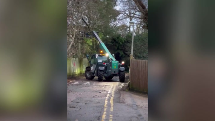 Fallen tree blocks path in London woods as Storm Henk brings strong winds to UK