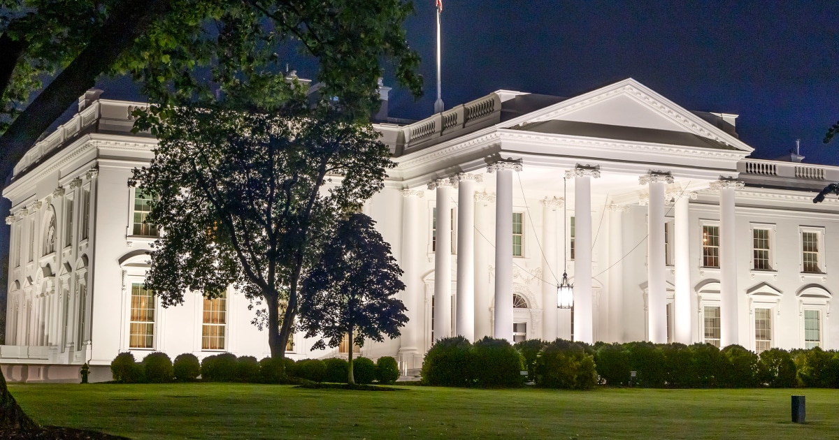 Driver in custody after crashing into White House gates