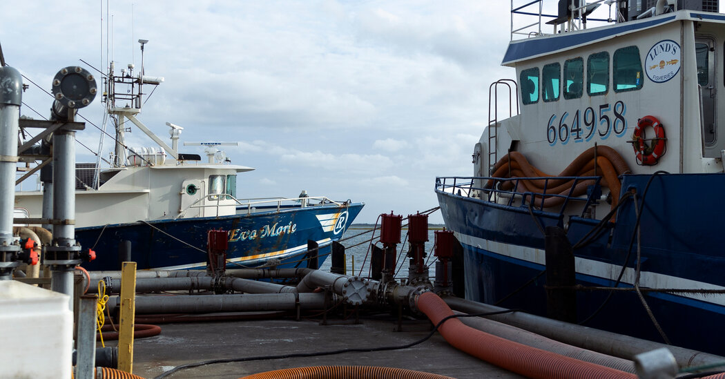 A Fight Over a Fishing Regulation Could Help Tear Down the Administrative State