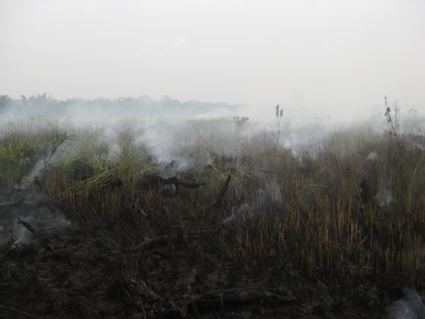 Borderless Haze Threatens Southeast Asia