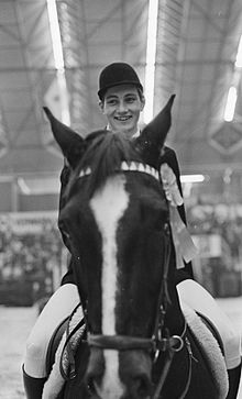 Eddy Stibbe Biography, Age, Height, Wife, Net Worth and Family