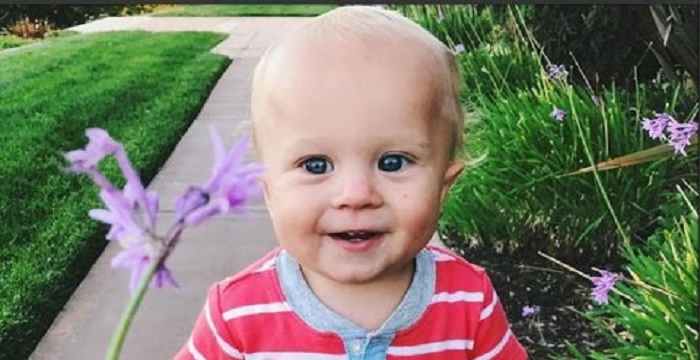 Finley Lanning Bio Bio, Early Life, Career, Net Worth and Salary