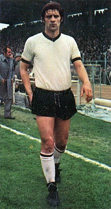 Giuseppe Zaniboni Biography, Age, Height, Wife, Net Worth and Family