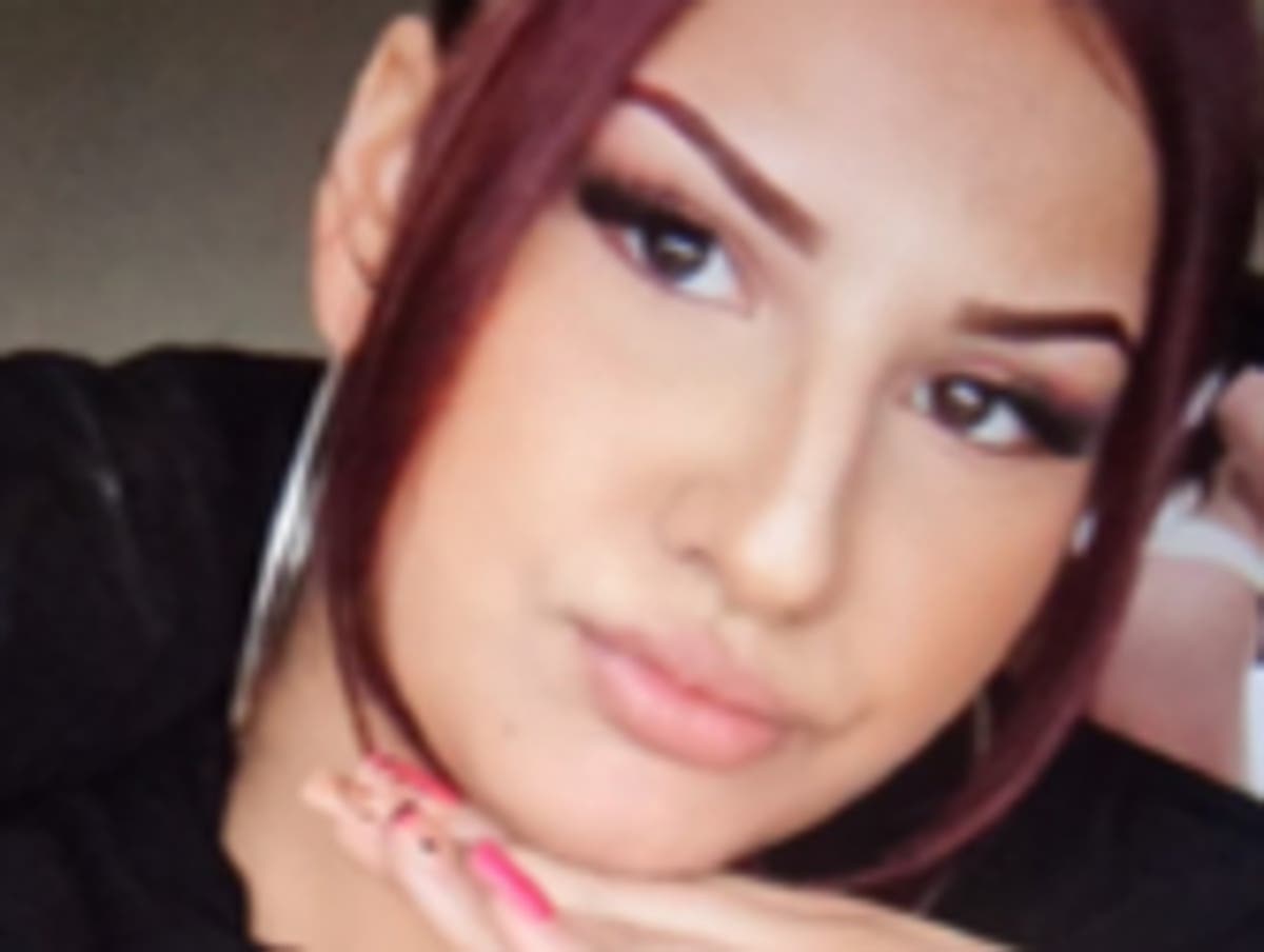 Hunt for missing teenager, 17, last seen boarding train to airport