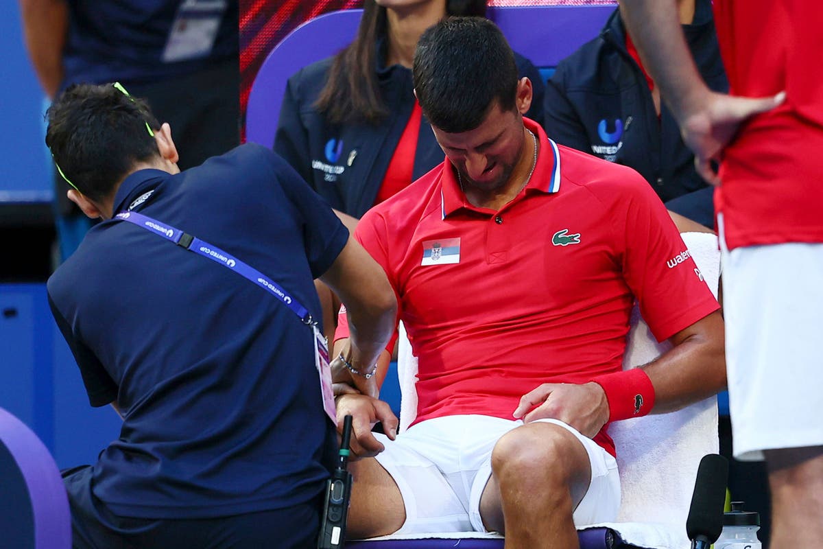 Novak Djokovic dismisses wrist concerns ahead of Australian Open defence