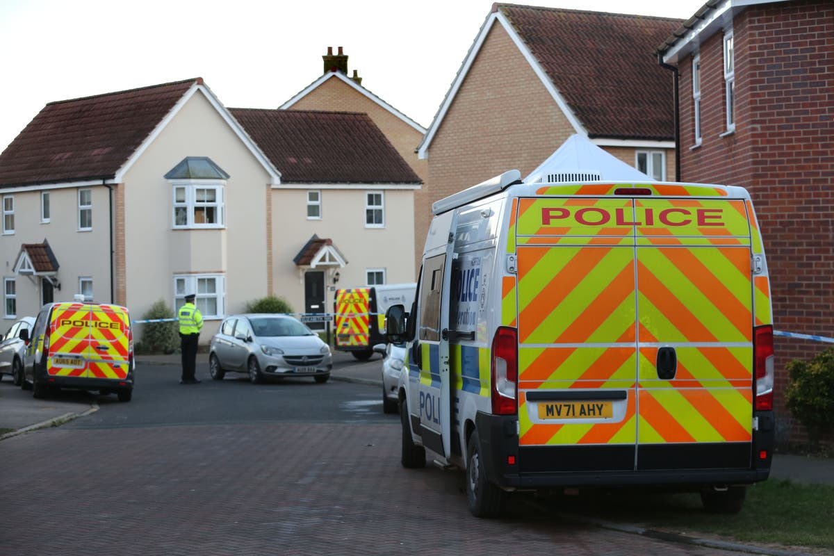 Police reveal 999 call made by man in Norfolk home an hour before four bodies found