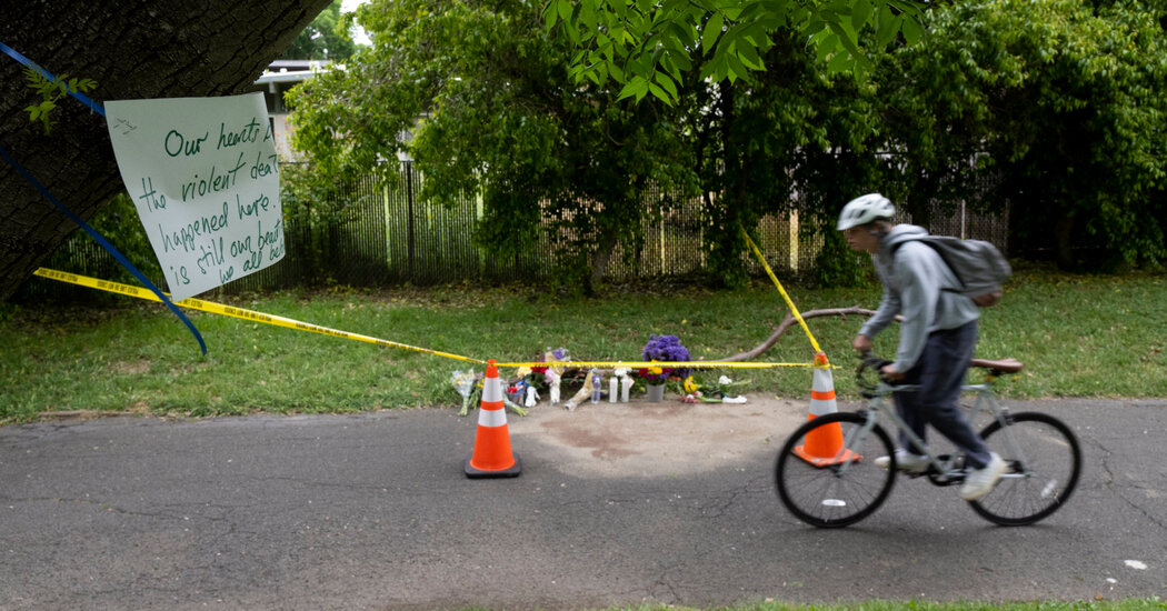 Suspect in Davis Stabbings Can Now Stand Trial, Judge Rules