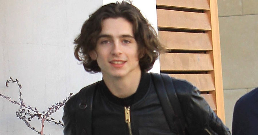 Timothée Chalamet Bio, Early Life, Career, Net Worth and Salary