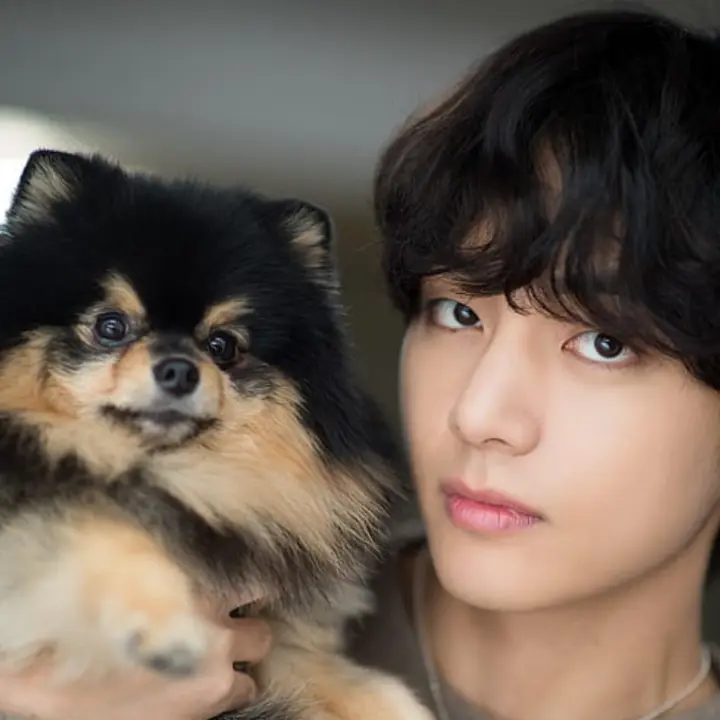 Yeontan Wiki