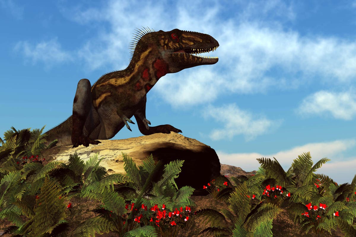 ‘Teenage T. rex’ fossils ‘are different predatory but nimbler dinosaur species’