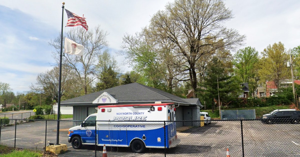 Ex-St. Louis-area officer accused of sexually assaulting 11 more detained men