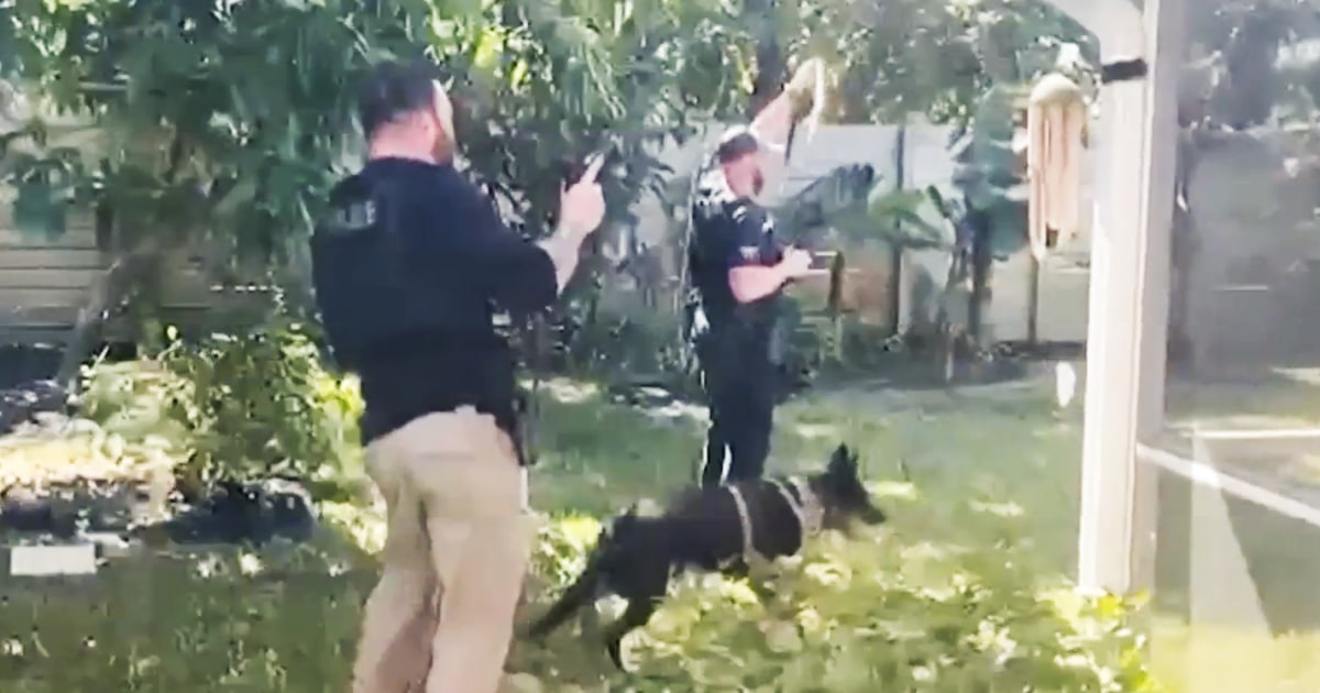 Robbery suspect caught by police in NBC South Florida reporter's backyard